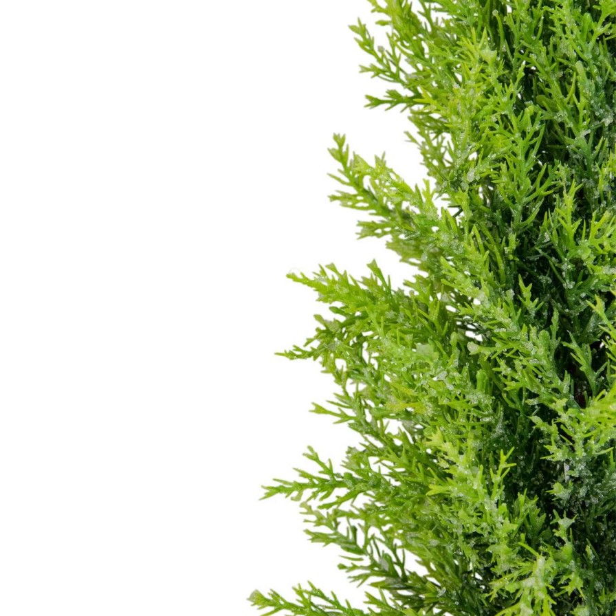 Christmas Table Top Trees * | Northlight 17 Upswept Frosted Cedar Artificial Christmas Tree Unlit