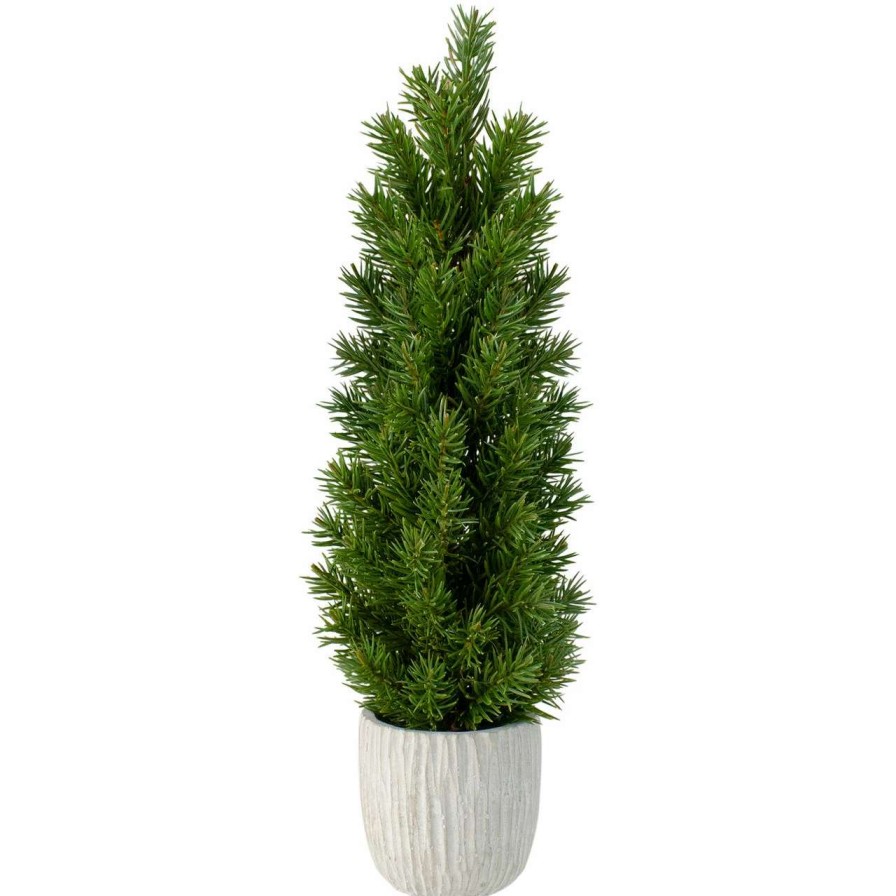 Christmas Table Top Trees * | Northlight 17 Mini Fir Artificial Christmas Tree With Stone Base Unlit